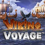 Viking Voyage