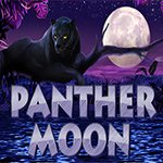 Panther Moon